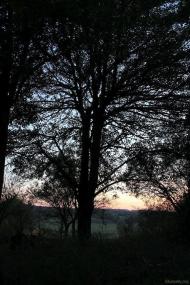 Шкурпели з panoramio.com