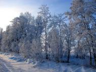 Дорошівка з panoramio.com