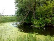 Червоні Партизани з panoramio.com