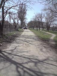 Чайкине з panoramio.com