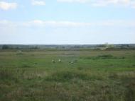 Шибене з panoramio.com