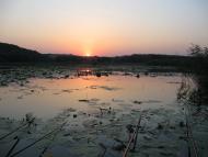 Москаленки з panoramio.com