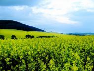 Кути з panoramio.com