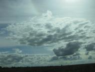 Пашенівка з panoramio.com