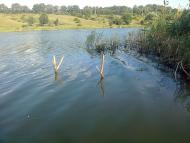 Раєво-Олександрівка з panoramio.com