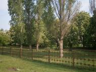 Майбородівка з panoramio.com