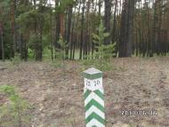 Скрипаї з panoramio.com