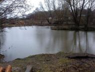 Верба з panoramio.com