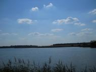 Кошляки з panoramio.com