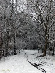 Руська Гута з panoramio.com