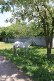 Слободище з panoramio.com