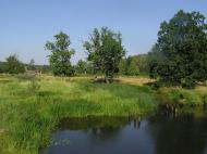 Струмок з panoramio.com