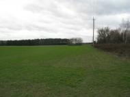 Заріччя з panoramio.com