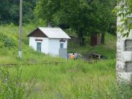 Сімейкине з panoramio.com