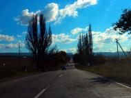 Сирень з panoramio.com