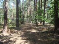 Савенки з panoramio.com