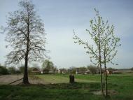 Вівчицьк з panoramio.com