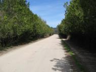 Дачне з panoramio.com