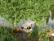 Кузьминці з panoramio.com