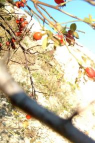 Дворічна з panoramio.com