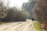 Черемошня з panoramio.com