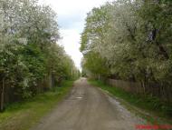 Веприн з panoramio.com