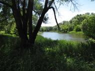 Червоний Шахтар з panoramio.com