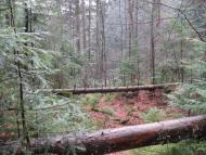 Збини з panoramio.com