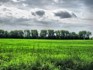 Волошинівка з panoramio.com