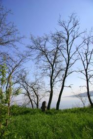 Ходорів з panoramio.com