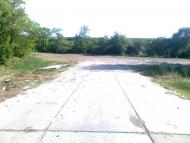 Росішки - Останні фото