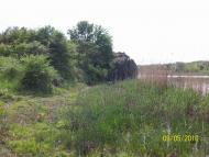 Раєво-Олександрівка з panoramio.com