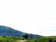 Явора з panoramio.com