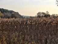 Раковець з panoramio.com