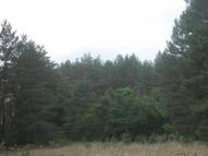 Черкаський Бишкин з panoramio.com