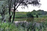 Червонопопівка з panoramio.com
