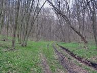 Юрчиха з panoramio.com