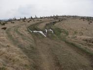 Голошина з panoramio.com