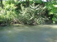 Вишенне з panoramio.com