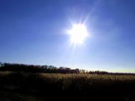 Степове з panoramio.com