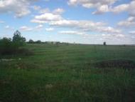 Привільне з panoramio.com