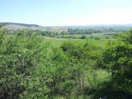 Строгонівка з panoramio.com