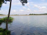 Черняки з panoramio.com