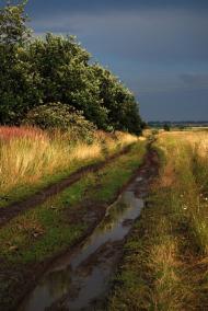 Гаї з panoramio.com