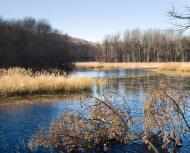 Коропове з panoramio.com - Коропово