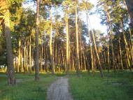 Карасиха з panoramio.com