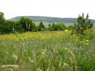 Затемне з panoramio.com