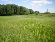 Червоні Партизани з panoramio.com