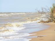 Рибацьке з panoramio.com