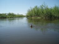 Бухарів з panoramio.com